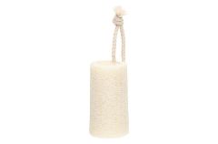 Luffa pesusieni