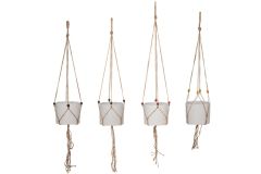 Naruamppeli manilla 120 cm