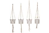 Naruamppeli manilla 120 cm